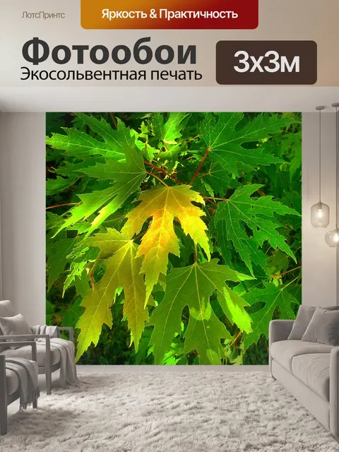Фотообои Листья
