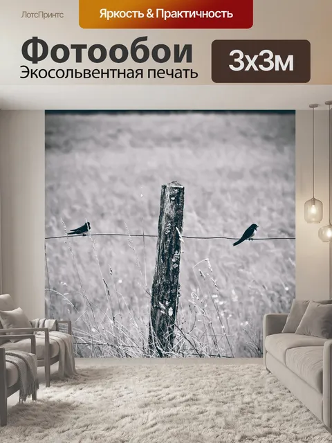 Фотообои Изгородь