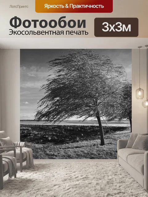 Фотообои Деревья