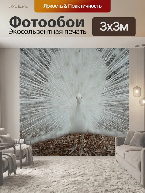 Фотообои Белый Павлин