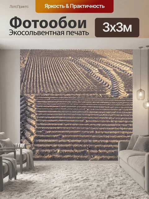 Фотообои Поле