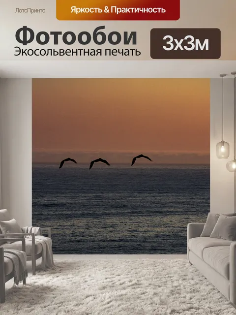 Фотообои птицы на закате