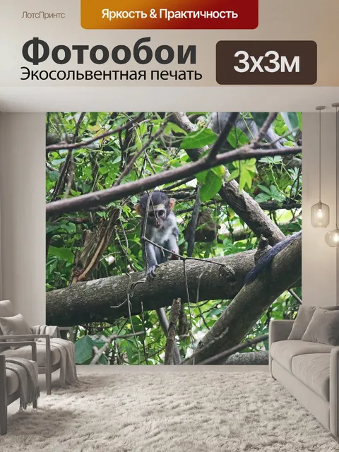Фотообои маленькая верветка на дереве