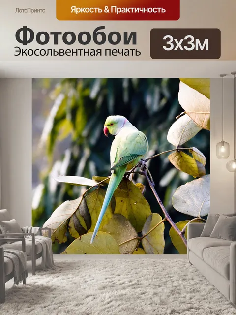 Фотообои Птица