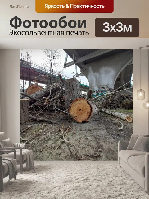 Фотообои Деревья смерти 1