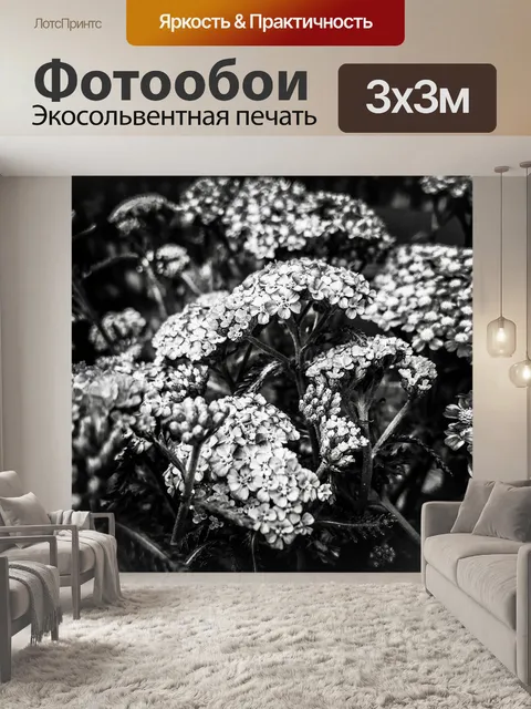 Фотообои Цветы