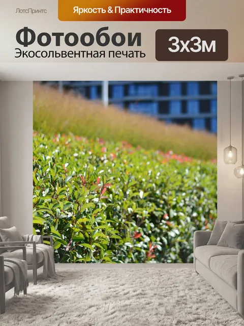 Фотообои Растения