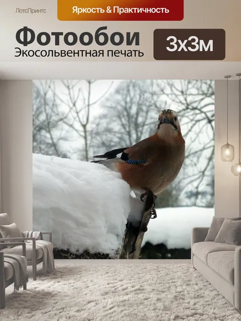 Фотообои Джей