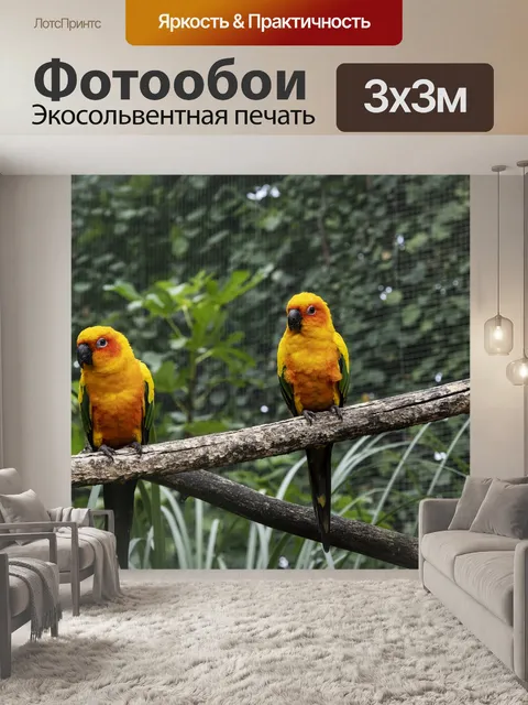 Фотообои Попугаев