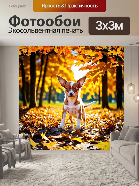 Фотообои на прекрасном фоне осеннего леса