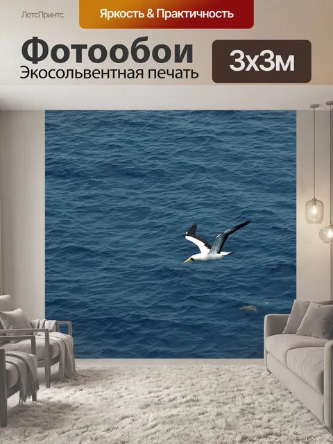 Фотообои Чайка