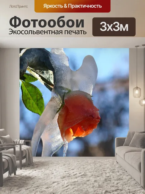 Фотообои Роза