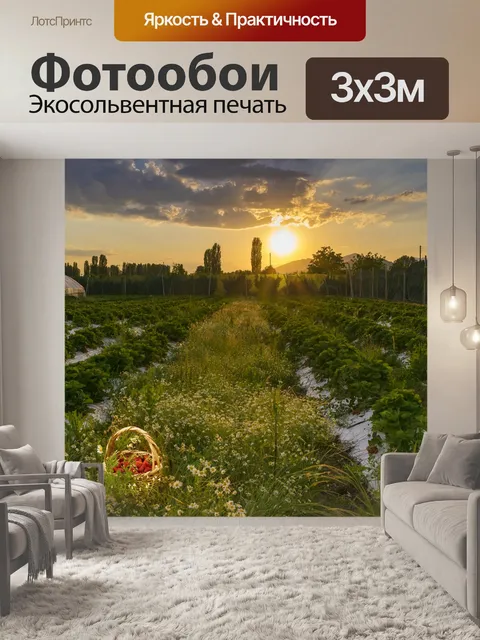 Фотообои Поля
