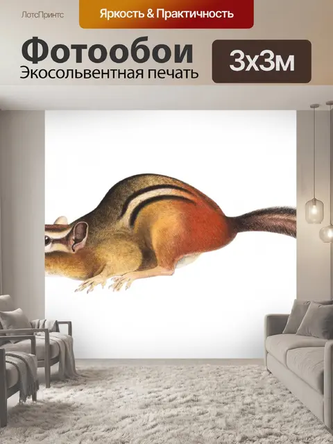 Фотообои Клипарт Бурундук винтажный
