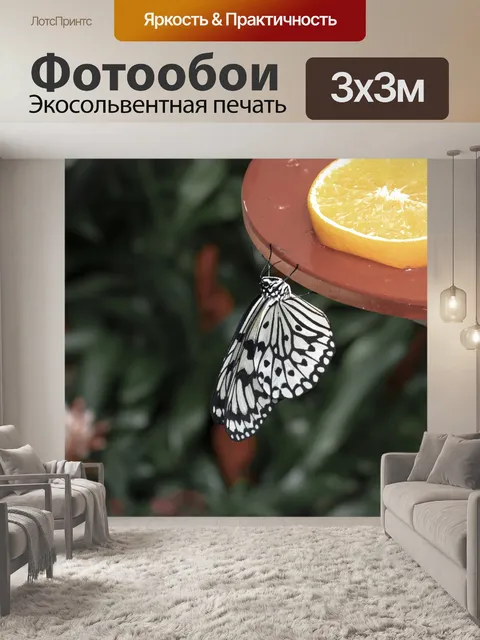 Фотообои Бабочка