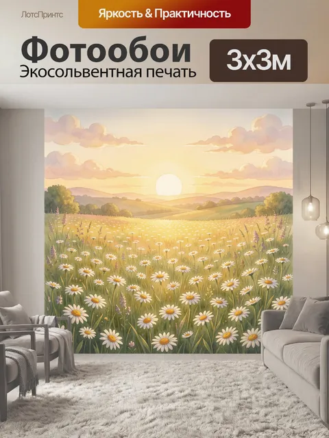 Фотообои Летнее поле ромашек на закате