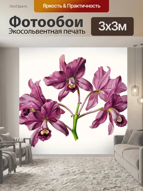 Фотообои Орхидея цветок старинное искусство