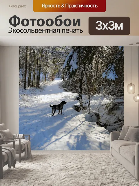 Фотообои Зима