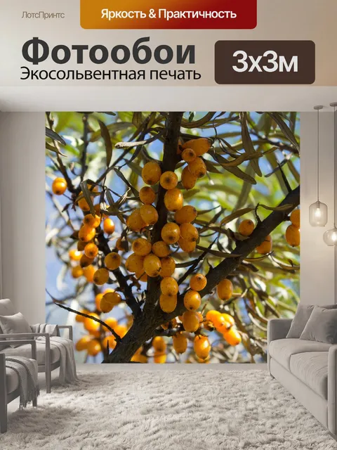 Фотообои Дерево