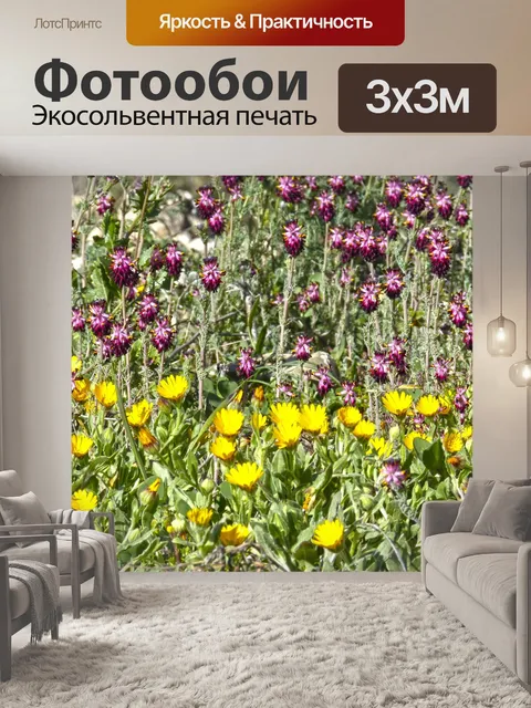 Фотообои Цветы