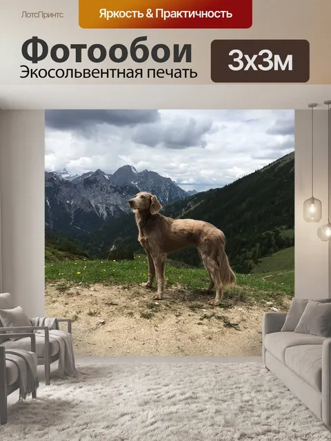Фотообои Горы