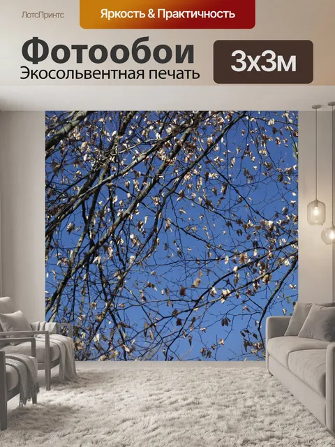 Фотообои горные деревья