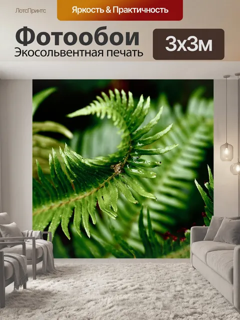 Фотообои Папоротник