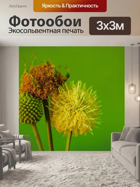 Фотообои Зеленое семя Белый цветок попинака
