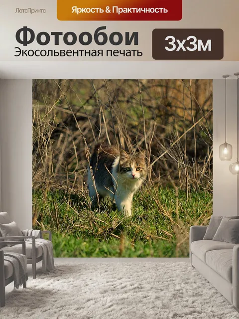 Фотообои Живая природа