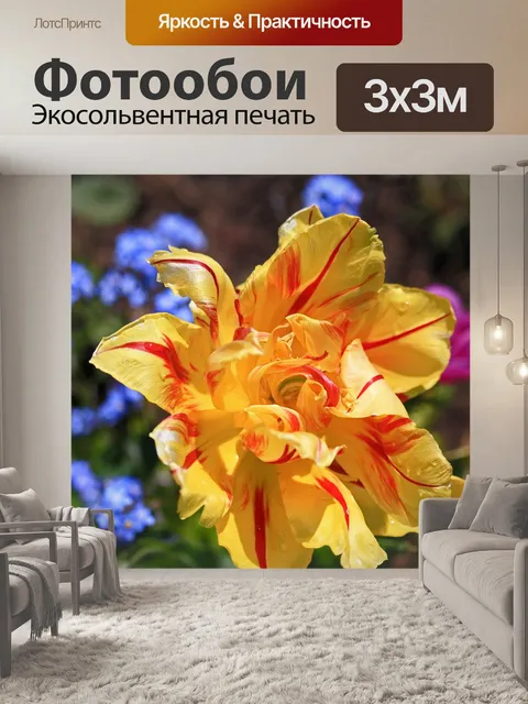 Фотообои Тюльпаны