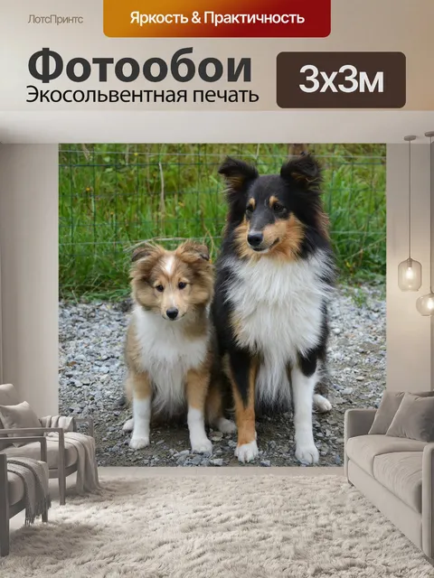 Фотообои Собака