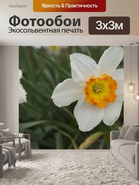 Фотообои Цветы