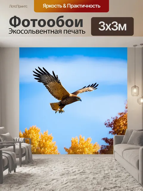 Фотообои Незабываемый миг, когда ястреб majestically парит в небе
