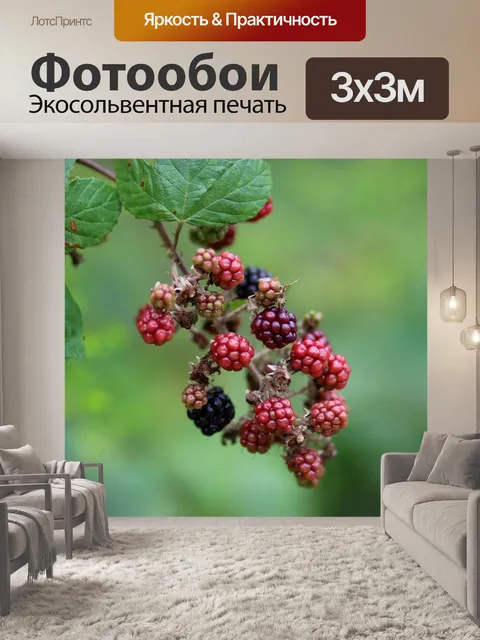 Фотообои Мокрый