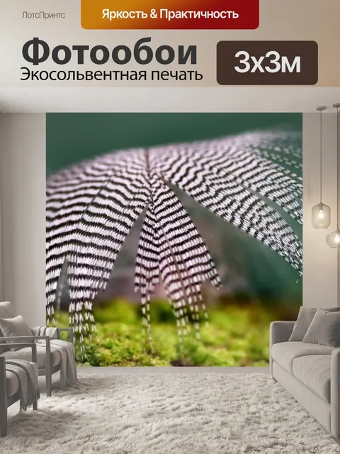 Фотообои Перо