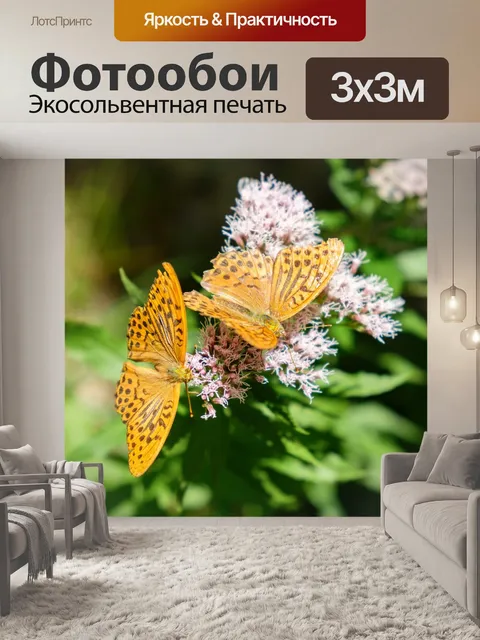 Фотообои Бабочки