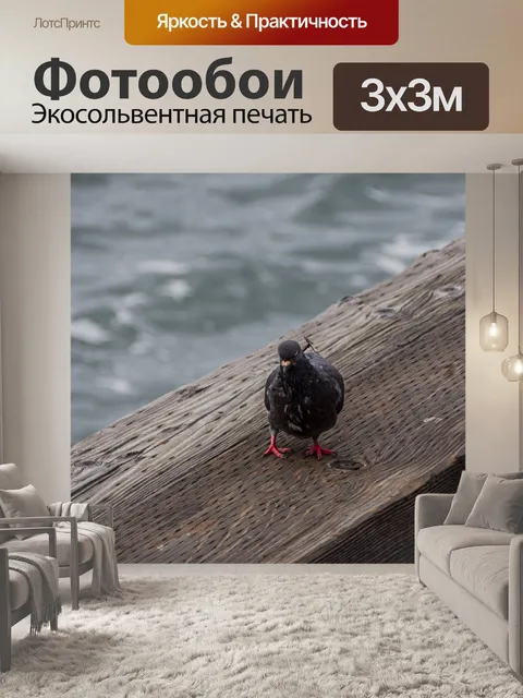 Фотообои Голубь на пирсе
