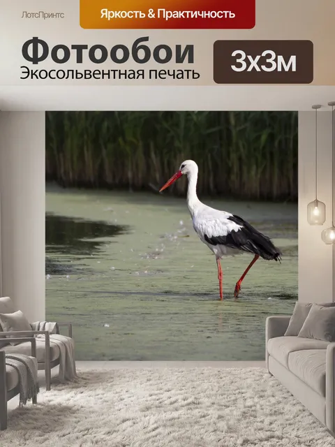 Фотообои Птица