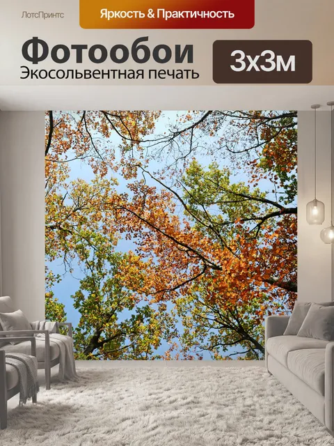 Фотообои Деревья