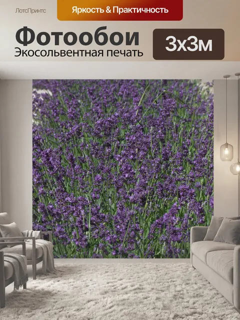 Фотообои Лаванда