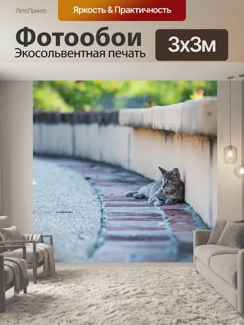 Фотообои Кошка