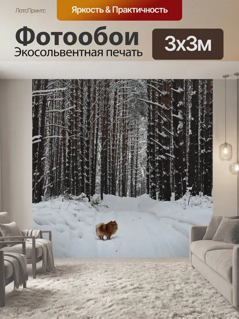 Фотообои Лес