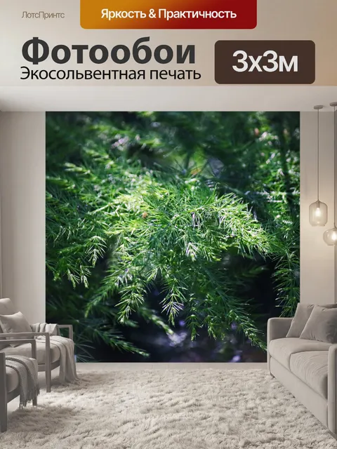 Фотообои свет на тонкой зеленой спарже папоротник