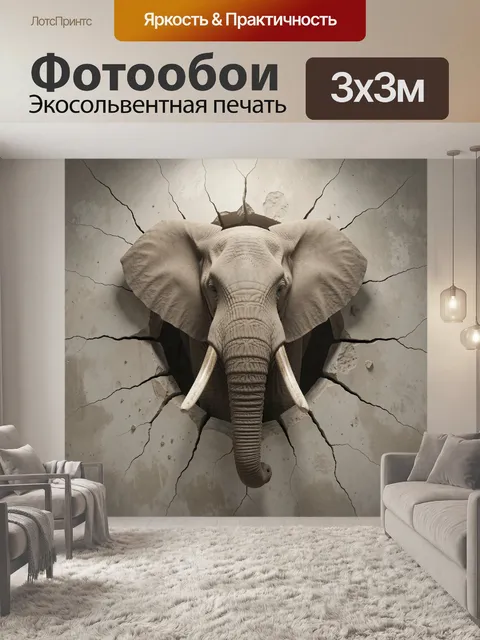 300 × 300 см · Экосольвентная печать