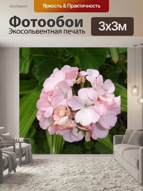 Фотообои Цветок
