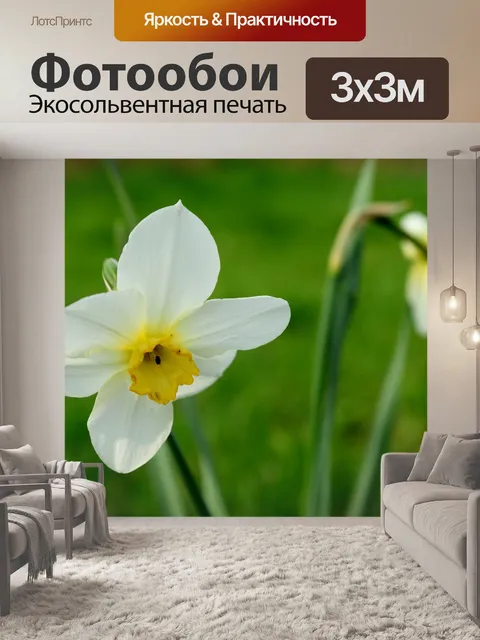 Фотообои Цветы