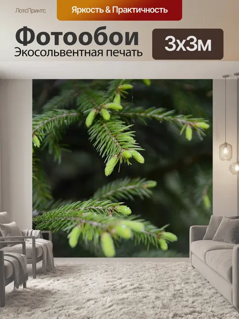 Фотообои Лес