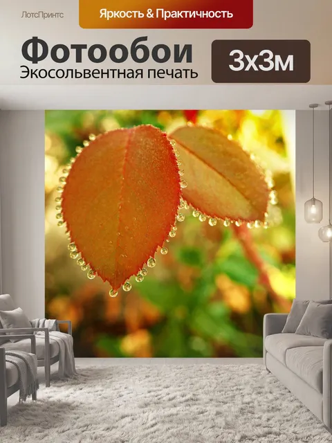 Фотообои Осень