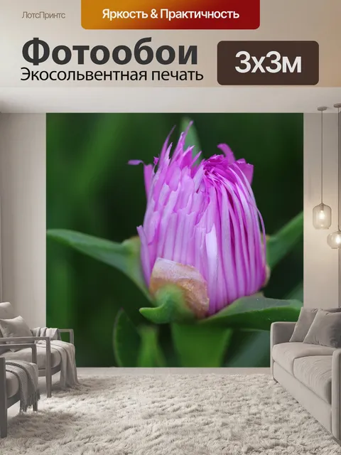 Фотообои Розовый