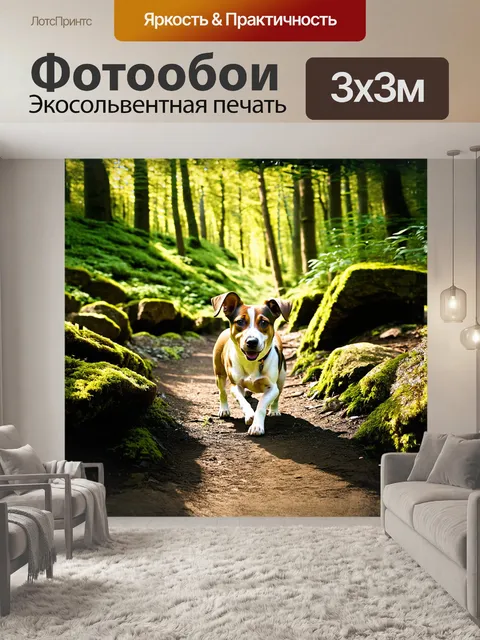 Фотообои джек рассел терьер с удовольствием исследует лесную тропинку